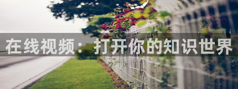 泡泡酒店