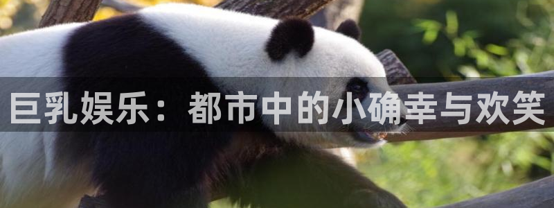 電影泡泡